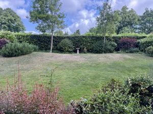 Photo 2- click for photo gallery